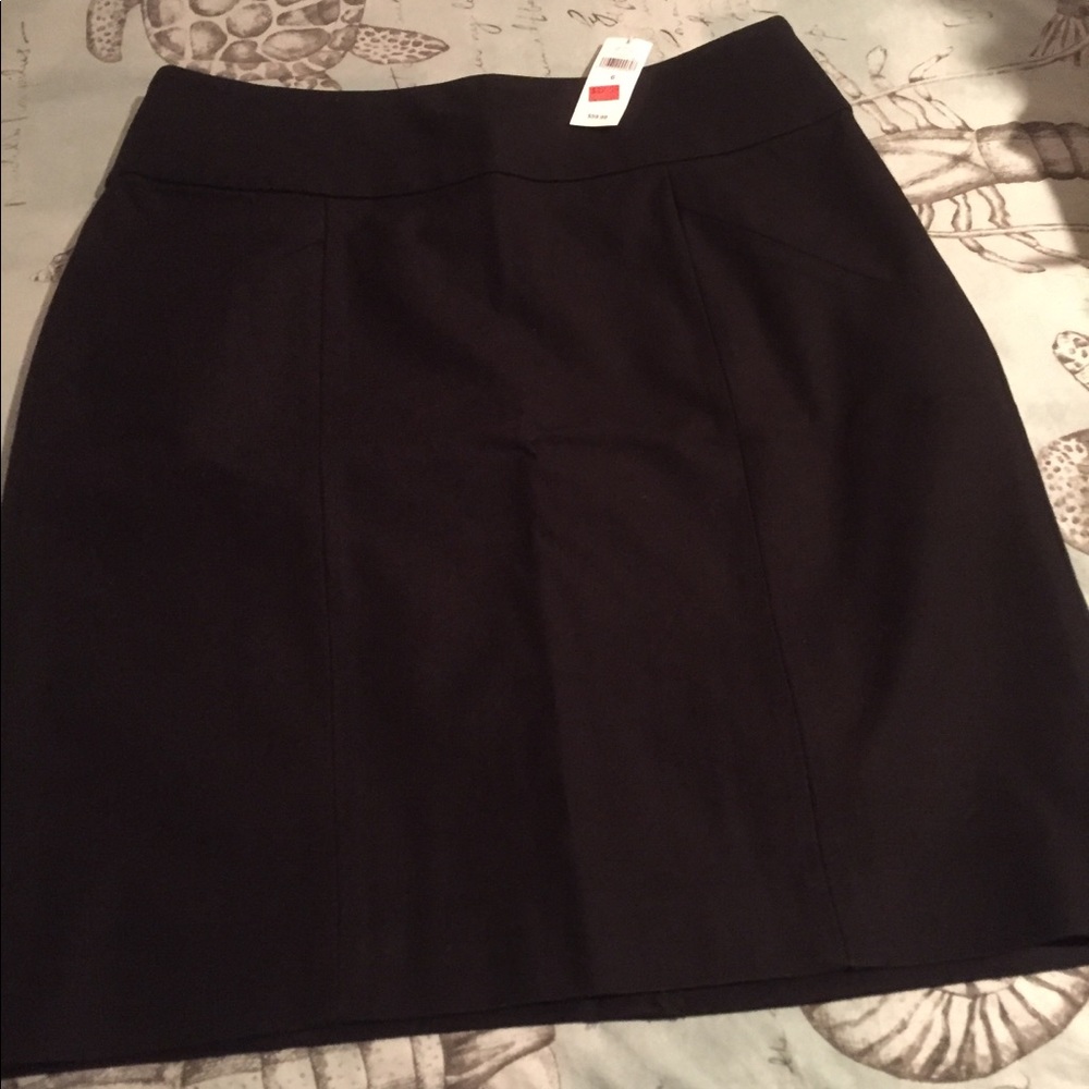 Banana Republic Skirt size 6